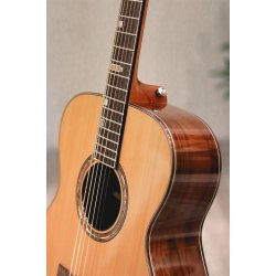 Fonzo V-201C OM Full Body